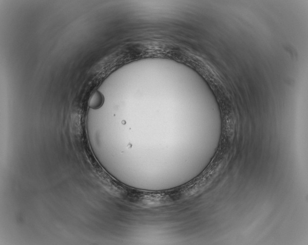 X0000112060757200908251020