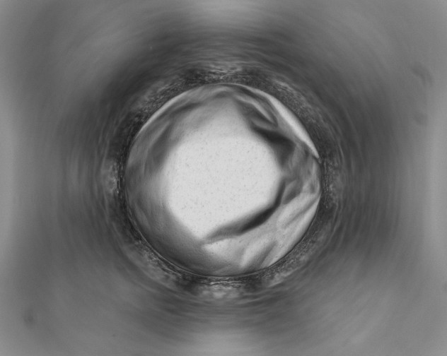 X0000112060758200908251020