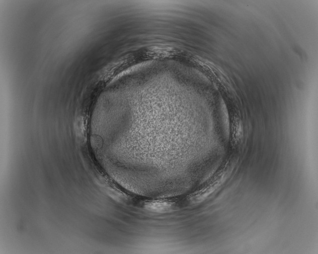 X0000112060759200908251021