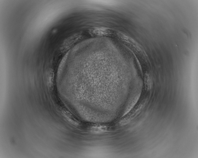 X0000112060760200908251021