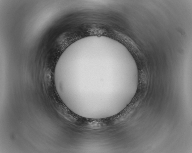 X0000112060761200908251021