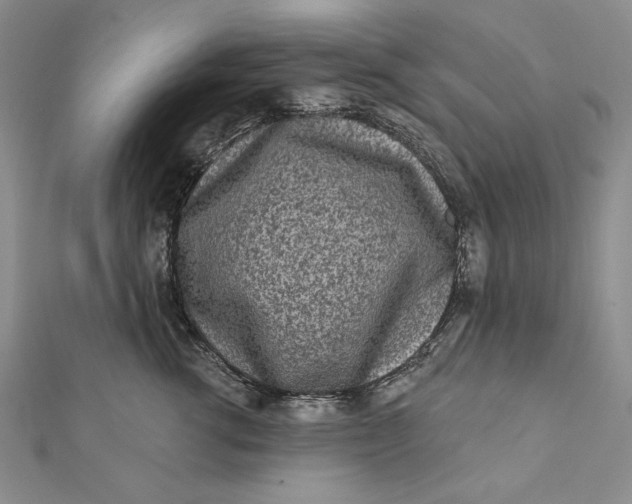 X0000112060762200908251021