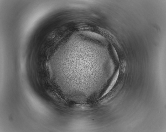 X0000112060763200908251021