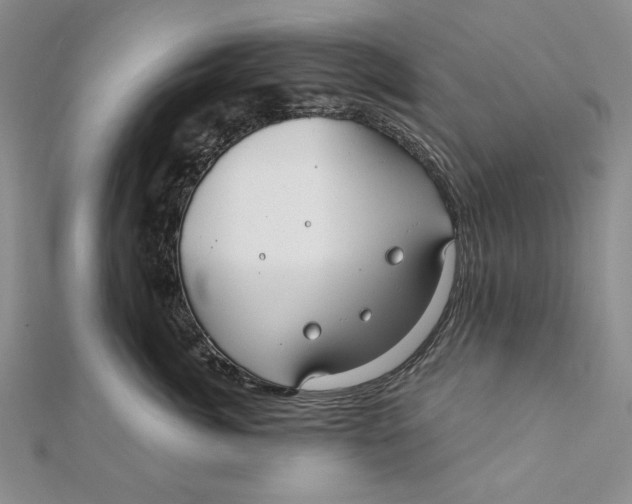 X0000112060764200908251021