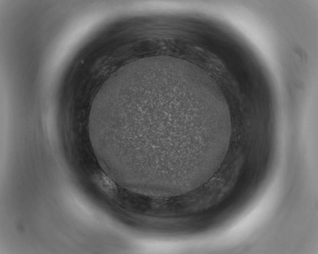 X0000112060766200908251021