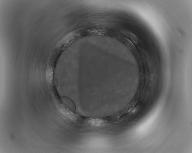 X0000112060767200908251021