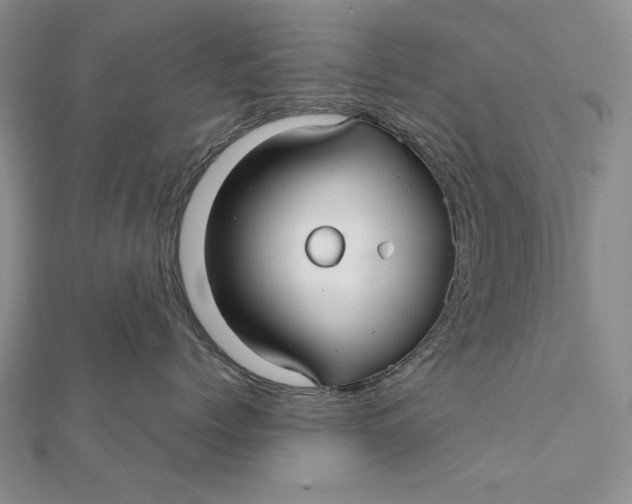 X0000112060768200908251021