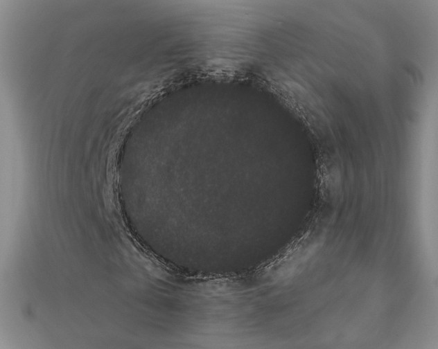 X0000112060769200908251020