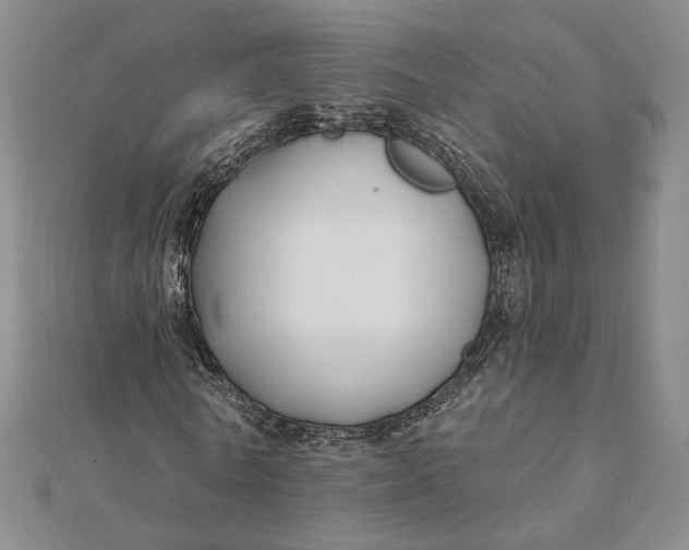 X0000112060770200908251020