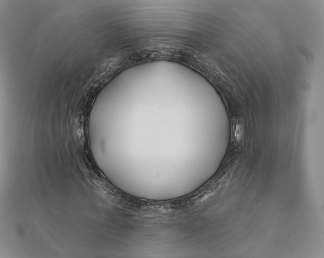 X0000112060771200908251020