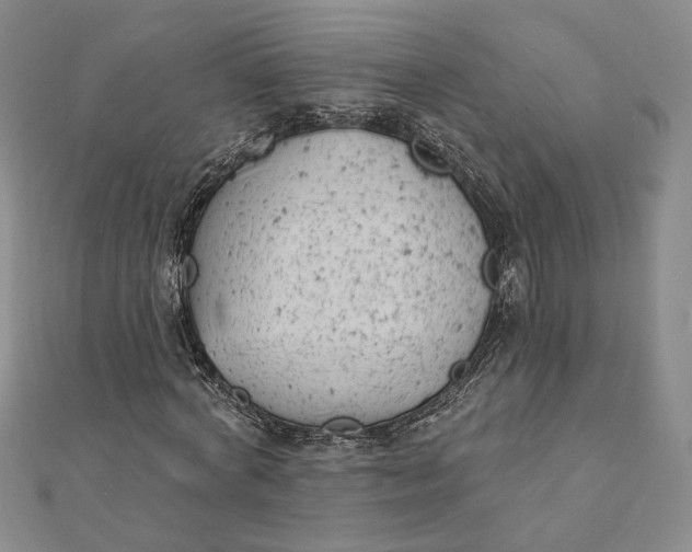 X0000112060772200908251020