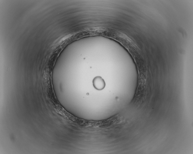 X0000112060773200908251020