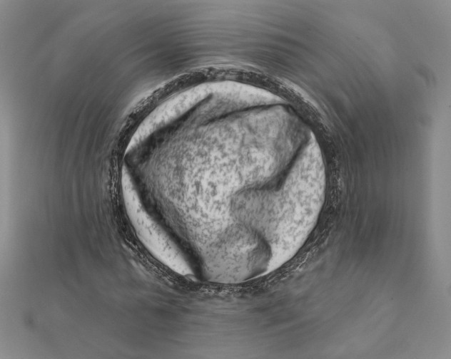 X0000112060775200908251020