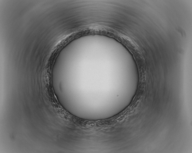 X0000112060776200908251020