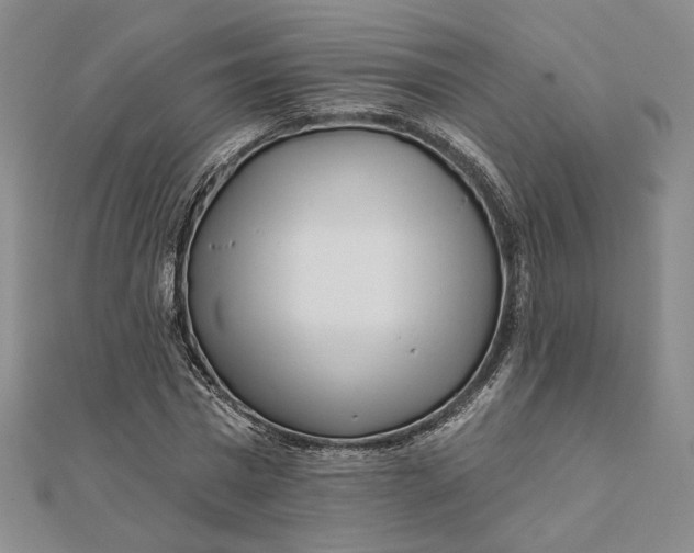 X0000112060777200908251020