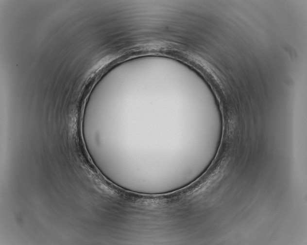 X0000112060778200908251020