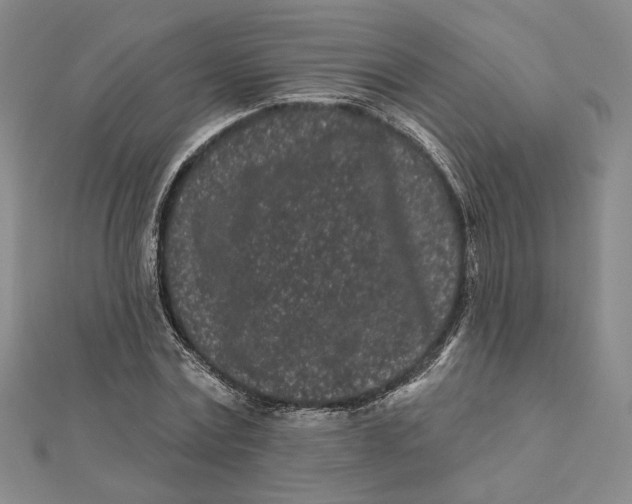 X0000112060779200908251020