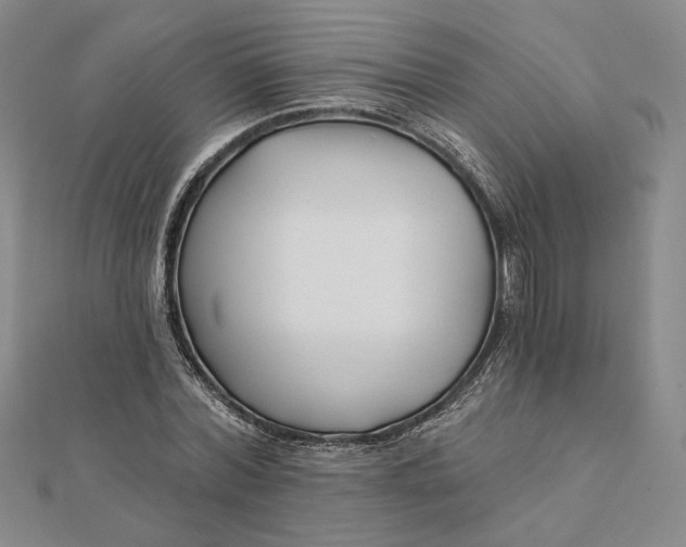 X0000112060780200908251020