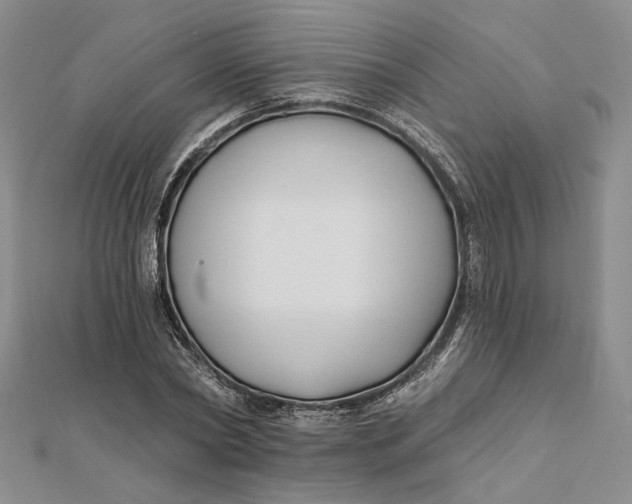 X0000112060782200908251020