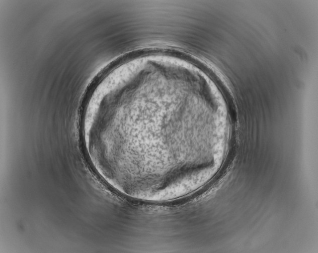 X0000112060783200908251020