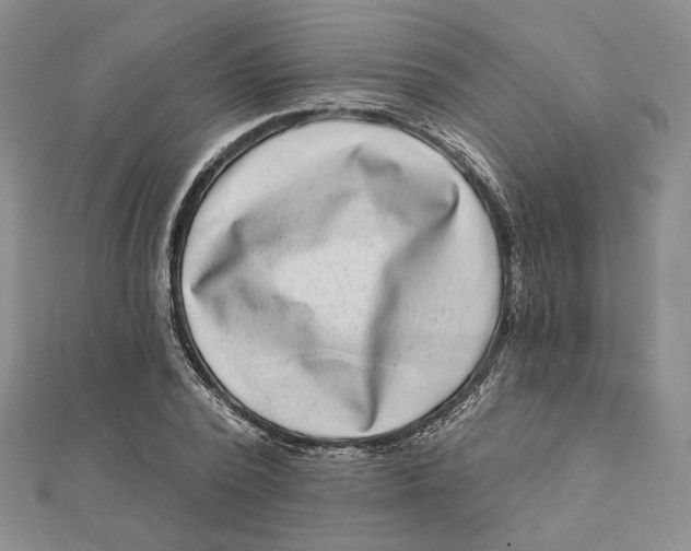 X0000112060784200908251020