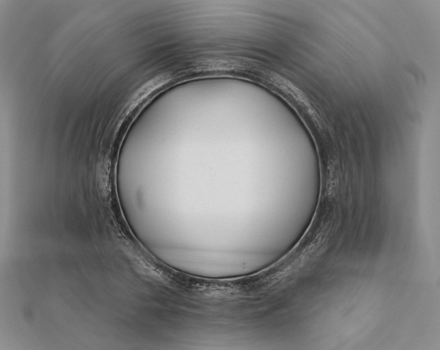 X0000112060786200908251020