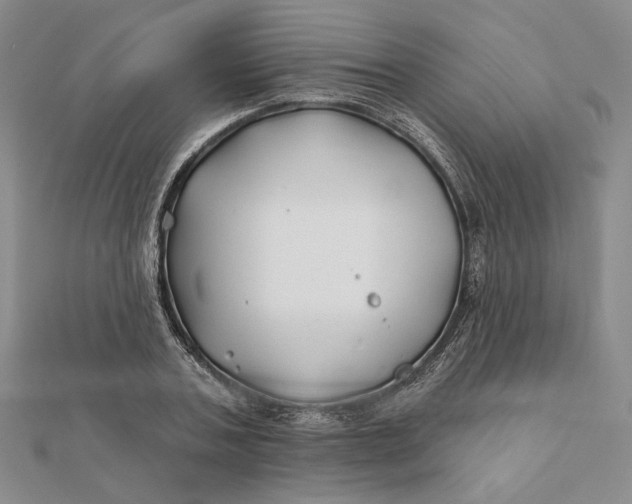 X0000112060787200908251020