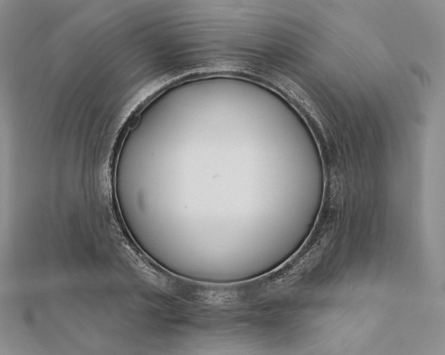 X0000112060789200908251020