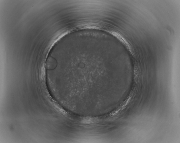 X0000112060790200908251020