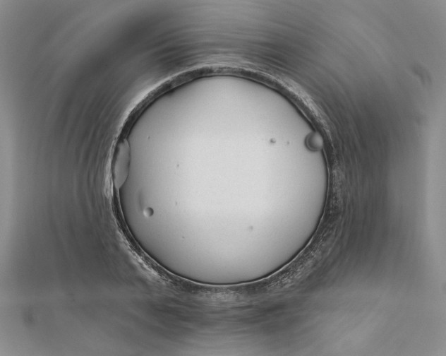 X0000112060791200908251020