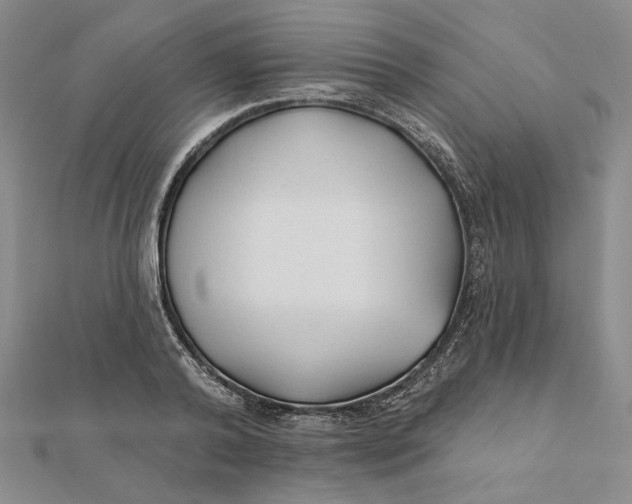 X0000112060792200908251020