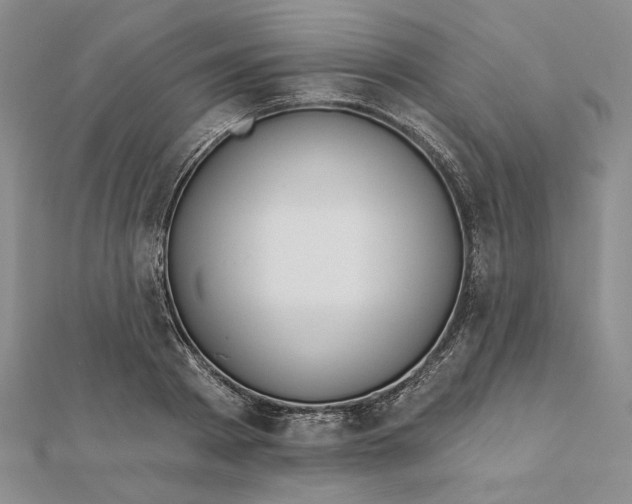 X0000112060793200908251020