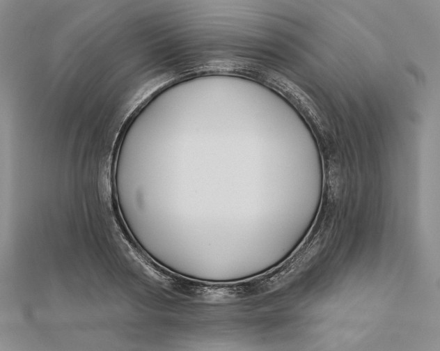 X0000112060794200908251020