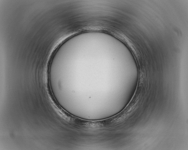 X0000112060795200908251019