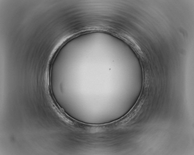 X0000112060796200908251019