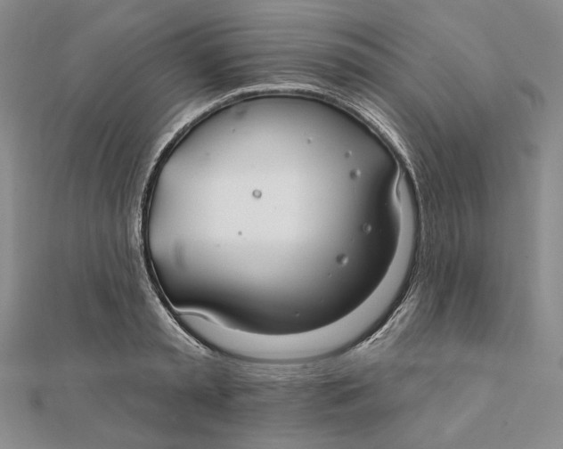 X0000112060797200908251019