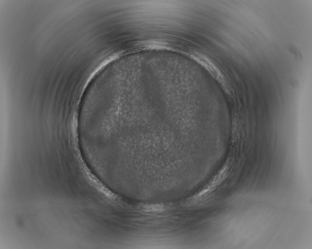 X0000112060798200908251019