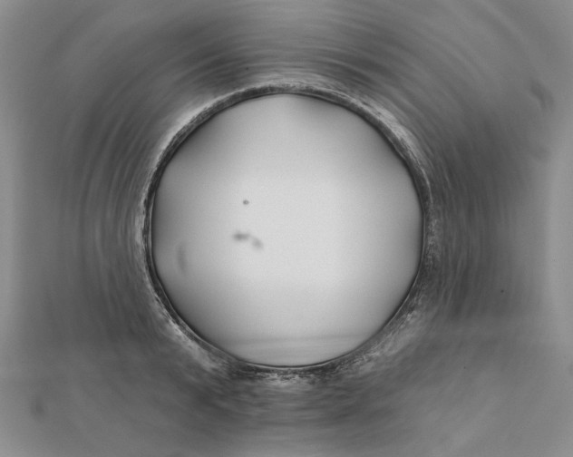 X0000112060799200908251019