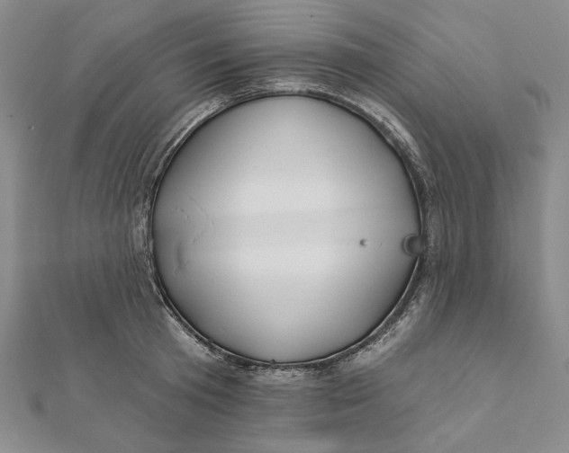 X0000112060801200908251019