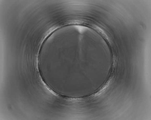 X0000112060802200908251019