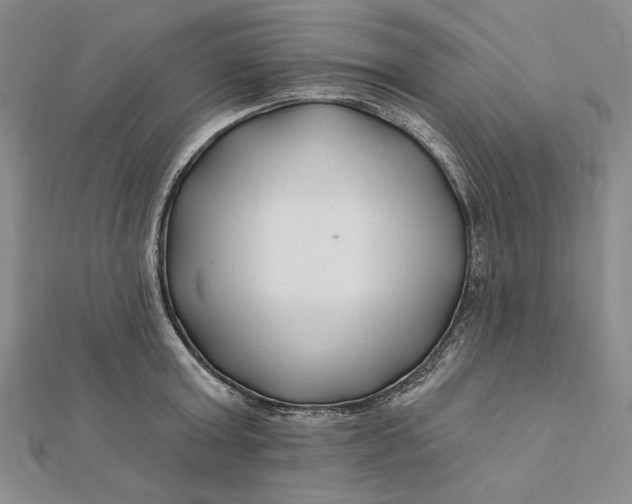 X0000112060803200908251019