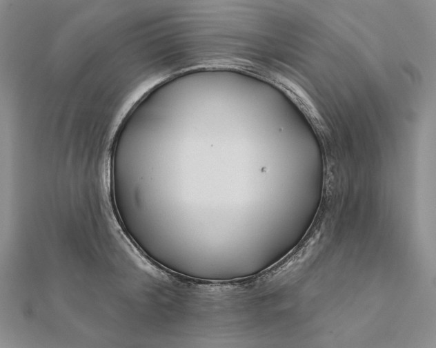 X0000112060804200908251019