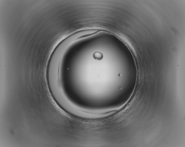 X0000112060805200908251019