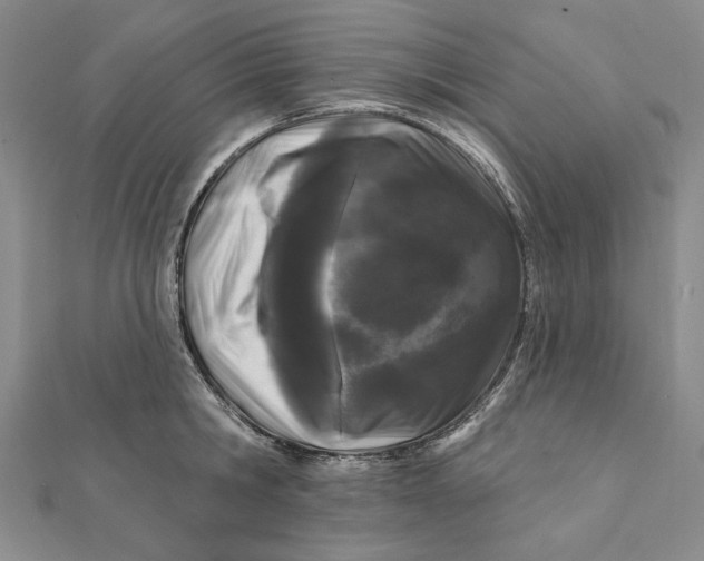 X0000112060806200908251019