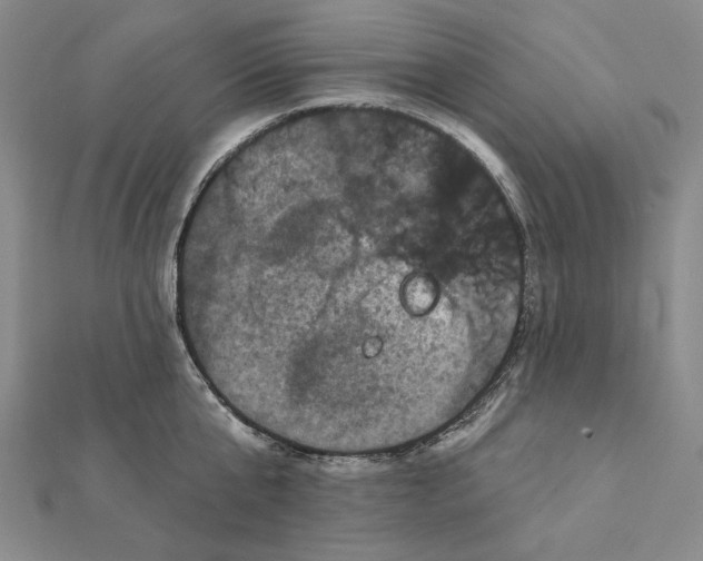 X0000112060807200908251019