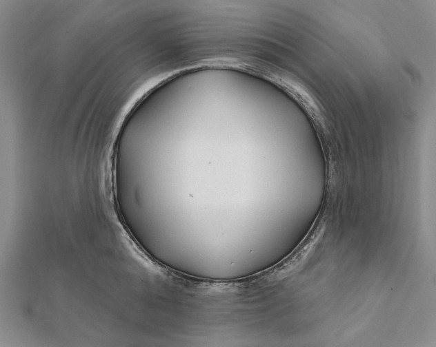 X0000112060808200908251019