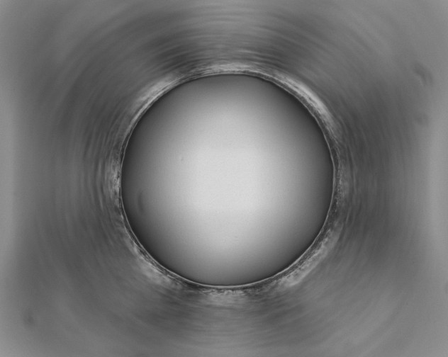 X0000112060809200908251019