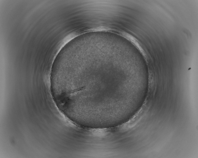 X0000112060810200908251019