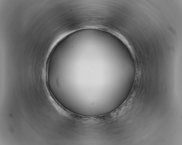 X0000112060811200908251019