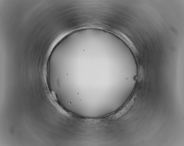 X0000112060812200908251019